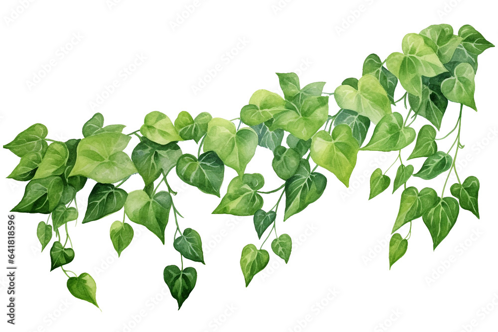 Watercolor painting of green ivy leaves isolated on a white background. Watercolor hand painted illustration. Tropical plants for beautiful design. Generative AI - obrazy, fototapety, plakaty 