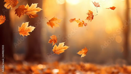 Yellow orange falling maple leaves in the wind park forest wood natural landscape copy space banner. 