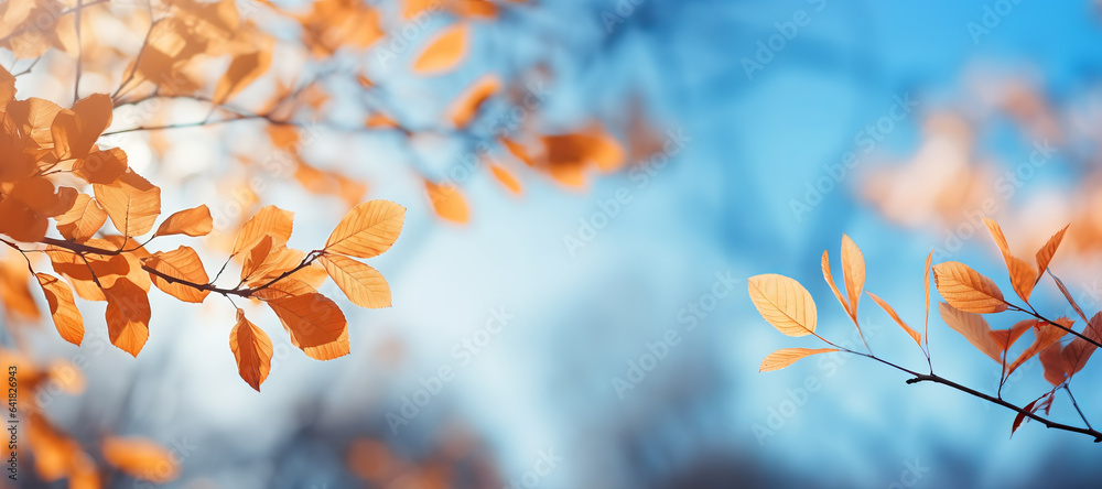 Natural autumn background with golden beech leaves on blue sky background Natural autumn background with golden beech leaves on blue sky background