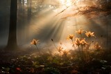 Sonnenlicht scheint auf eine Blume im Wald