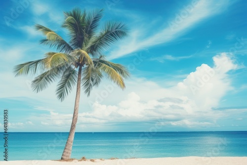 Palm tree on tropical beach with blue sky © Оксана Олейник