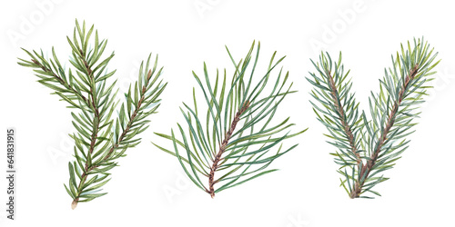 Watercolor Christmas Spruce, Fir, Pine branches. Evergreen plant. Botanical illustration of green lush sprig isolated on white. For winter postcard design, Xmas and New Year cards, greetings