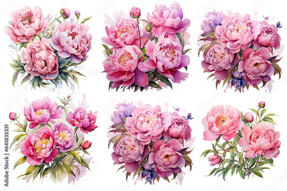 Watercolor bouquets of peonies png. Set of watercolor peonies on a ...