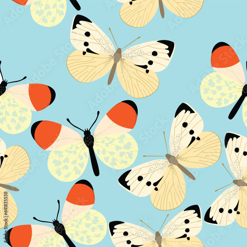 Small white butterfly and Anthocaris cardamines seamless pattern