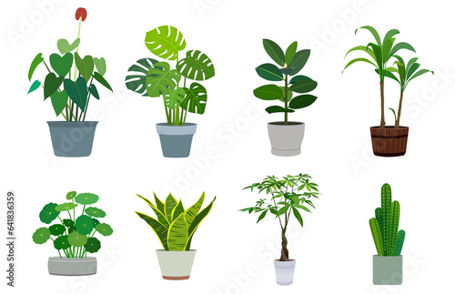 Green Plant Potting Mix That Brings You Health 