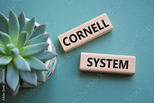 Cornell system symbol. Concept word Cornell system on wooden blocks. Beautiful grey green background with succulent plant. Business and Cornell system concept. Copy space photo