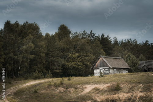 Old wooden house in the forest on a cloudy day. Toned.