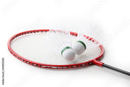 The badminton