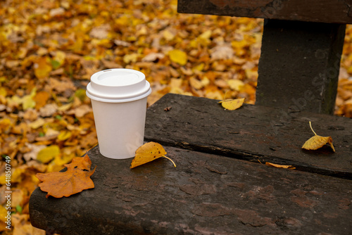 Eco zero waste white paper cup copy space mockup in wooden bench in park. Fall leaves and cup of tea coffee to go next to autumn nature. Unite with nature cottagecore
