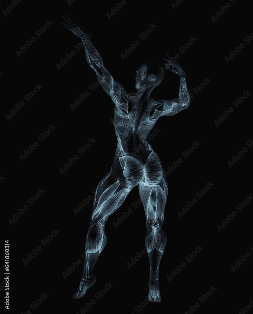 female bodybuilder is showing the guns up white background rear view female bodybuilder is showing the guns up white background rear view