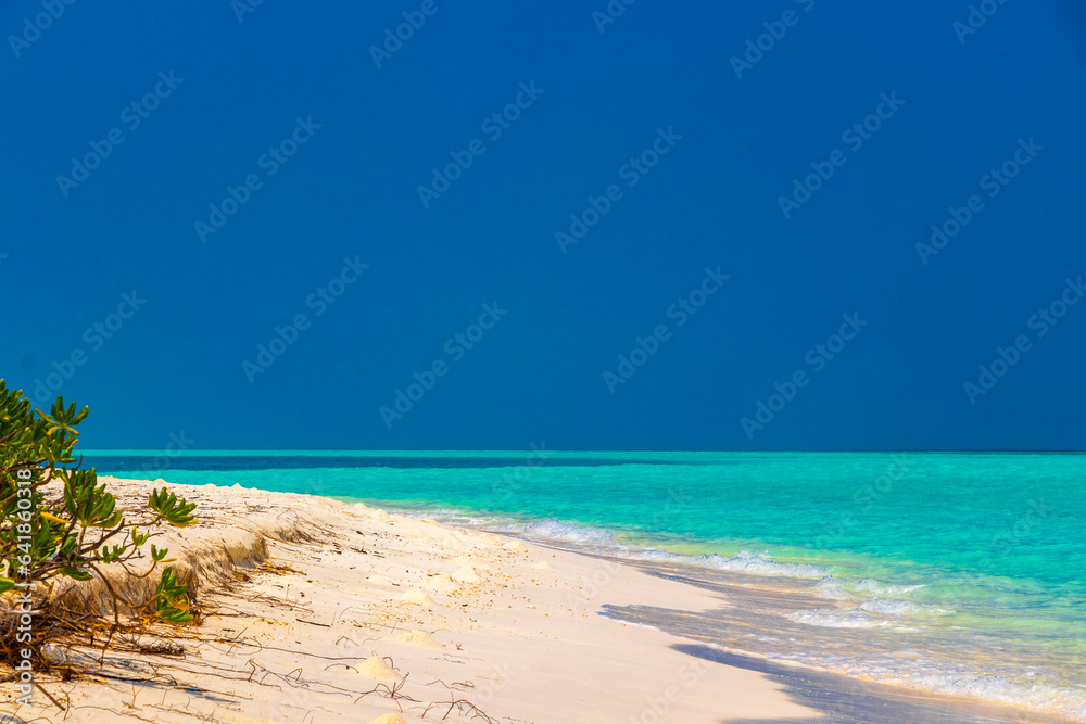 Natural tropical turquoise sandbank islands Madivaru Finolhu Rasdhoo Atoll Maldives. - obrazy, fototapety, plakaty 