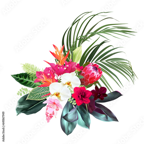 Exotic tropical flowers, orchid, strelitzia, pink medinilla, protea, palm, monstera, calathea leaves vector design bouquet