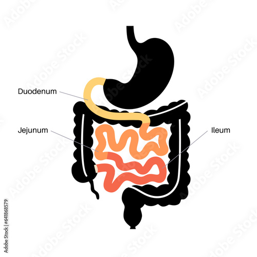 Tiny intestine poster