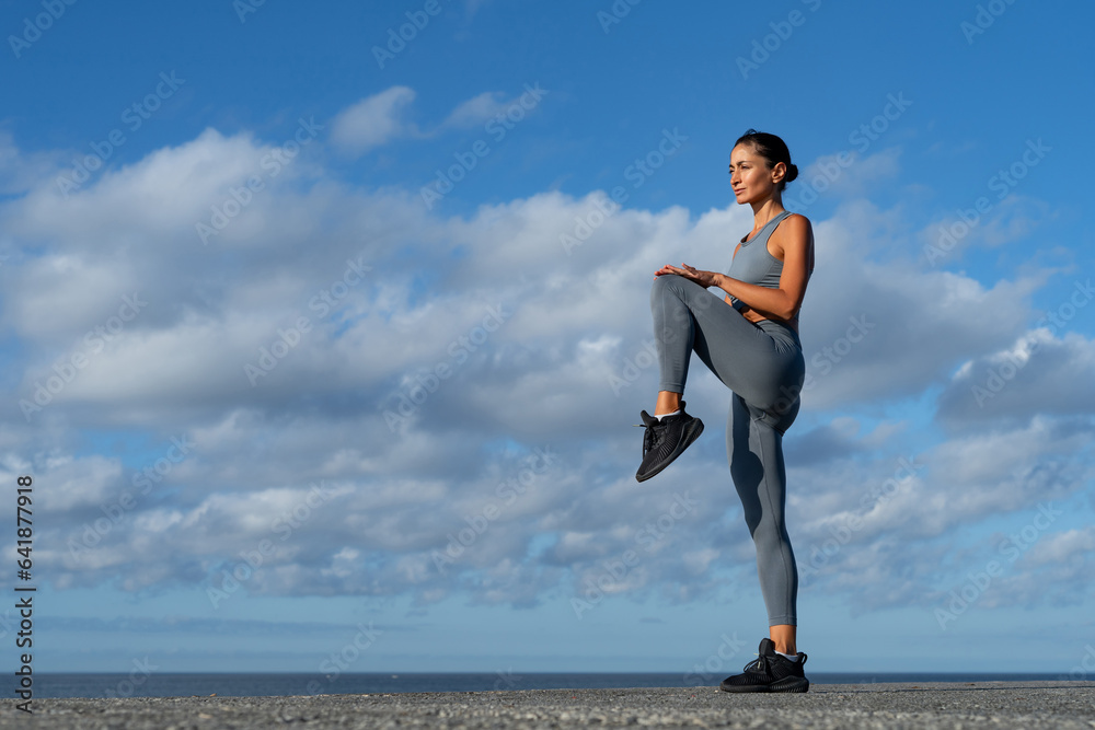 athletic brunette girl doing fitness doing exercises leading a healthy lifestyle athletic brunette girl doing fitness doing exercises leading a healthy lifestyle