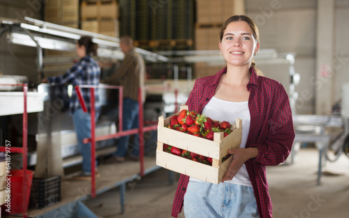 Young farmer girl working in a fruit nursery is standing in a warehouse, holding a crate of ripe recently harvested ..strawberries photo