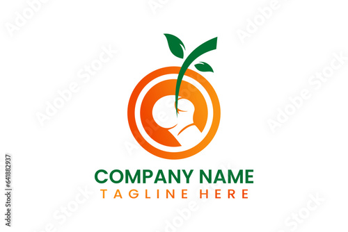 Flat modern simple fruit boxing logo modern style template