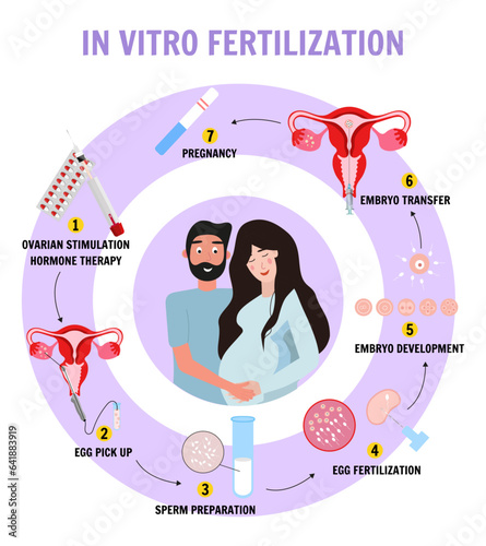 Human egg cell anatomy, fertilization, IVF