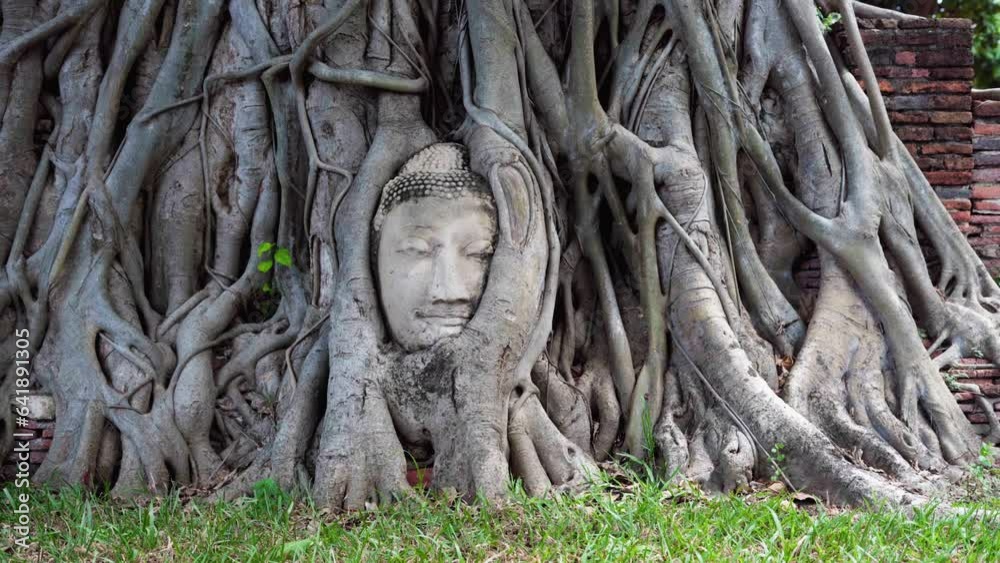buddha head in the tree of ayutthaya city, thailand 2023 buddha head in the tree of ayutthaya city, thailand 2023