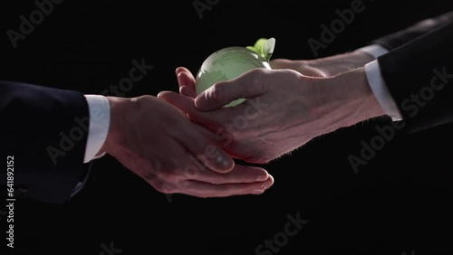 Plabt Growing inside a Sphere - Hand Holding - Eco Concep photo
