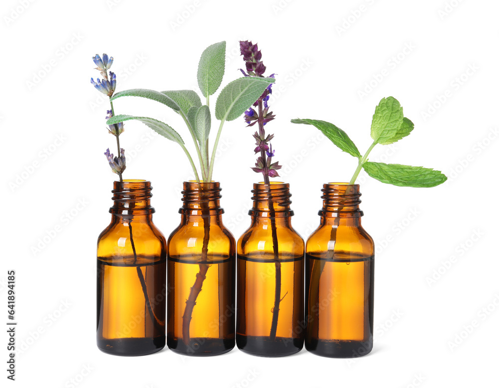 Many bottles with essential oils and plants isolated on white Many bottles with essential oils and plants isolated on white