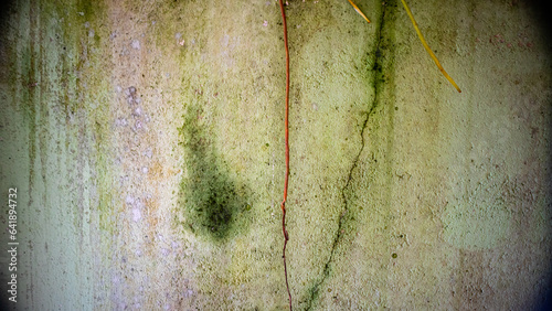 Old dirty walls covered in moss and mold