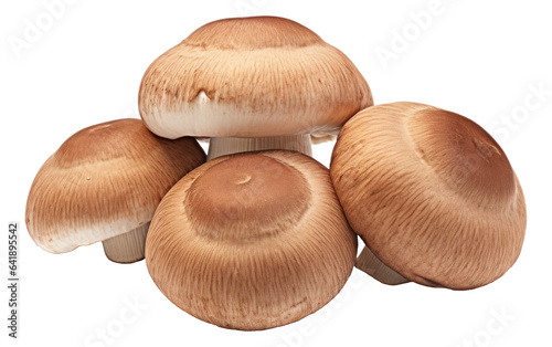Brown champignon mushrooms isolated. 3D illustration.