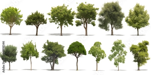 Green trees collection on white background  generative ai.