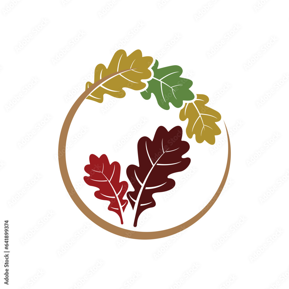 Oak leaf  Autumn icon