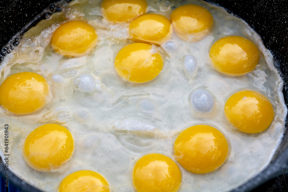 many Sunny-Side Up Fried Eggs Closer UP. High quality photo many Sunny-Side Up Fried Eggs Closer UP. High quality photo