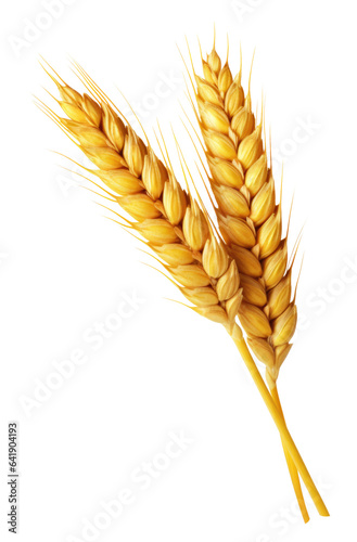 Double Wheat Ear Isolated on Transparent Background
