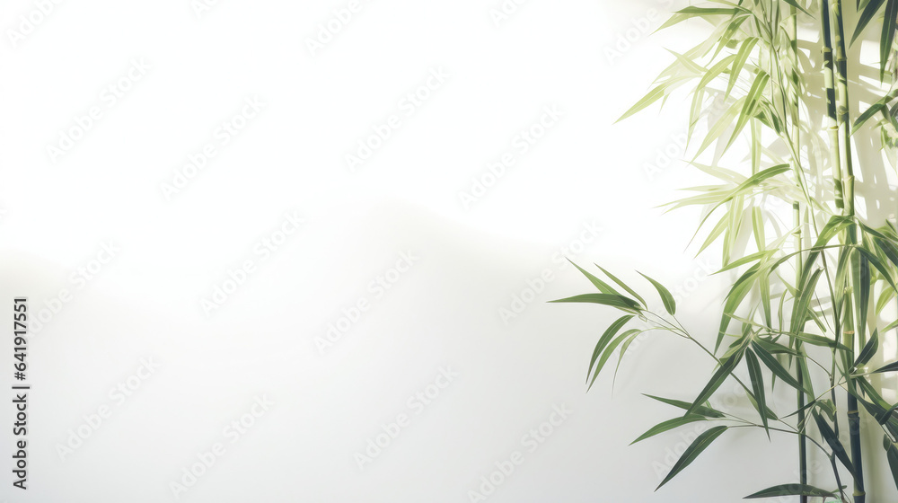 Obraz premium Bamboo background, indoor white wall with shadows, banner wallpaper