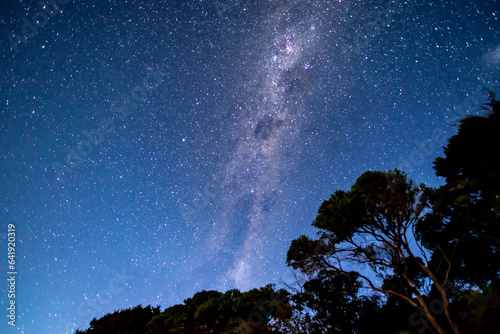 Milky Way and starry sky above the shape of trees in Abel Tasman National Park  New Zealand