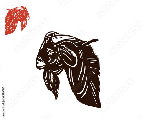 BIG KALAHARI CROSS BREED LOGO, silhouette of big and strong ram, vector illustrations.