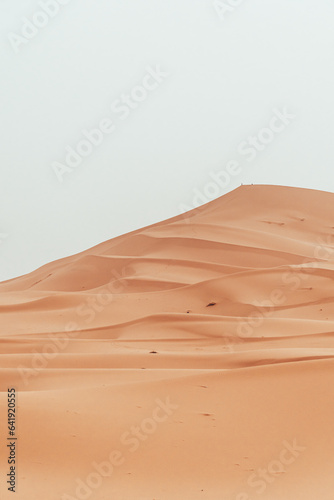 Sand texture during sunrise  Sahara Desert Merzouga  Morocco vertical oriented