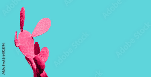 Fashion neon tropical pink cactus. Minimal trendy surrealistic still life pop art composition. Surrealism concept. Close up cacti plant on blue background. Contemporary art gallery style