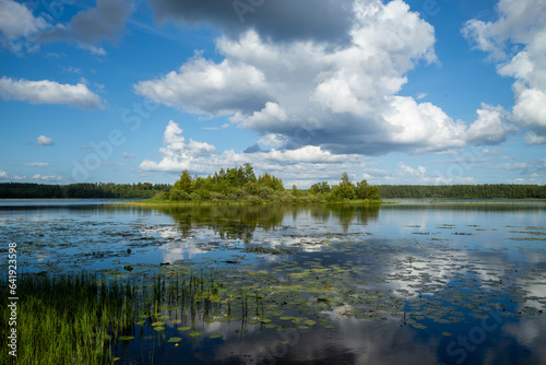 lake in a forest in the swedish nature reserve hökensas near tidaholm