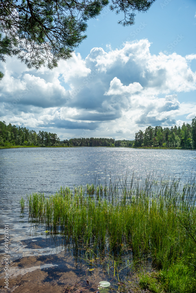 lake in a forest in the natires reserve hökensas near tidaholm in sweden