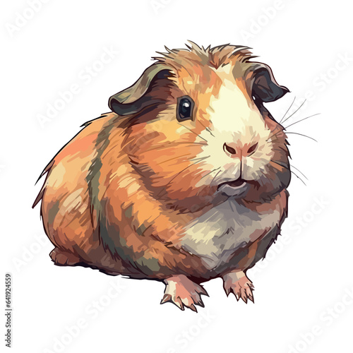 Fluffy guinea pig sitting, cute and cuddly