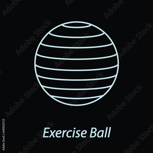 Exercise ball outline flat icon vector isolated on black background. Gym icon. Workout supply. Fitness equipments symbol. Sport element.