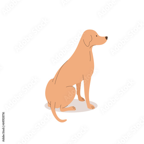 Funny labrador. Dogs collection. Vector illustration of cute breeds dogs in trendy flat style. Isolated on a white background