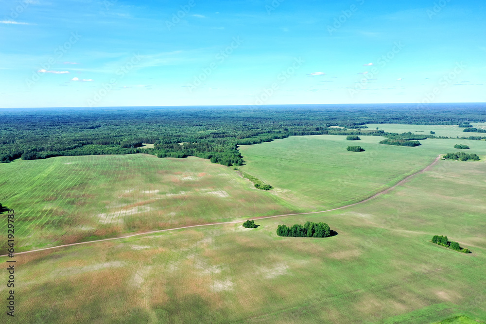 Naklejka premium Panorama from height to summer fields with bushes and trees. Flight over the countryside