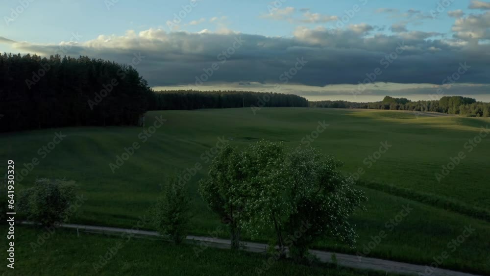 Serene Drone meadow aerial shot Serene Drone meadow aerial shot