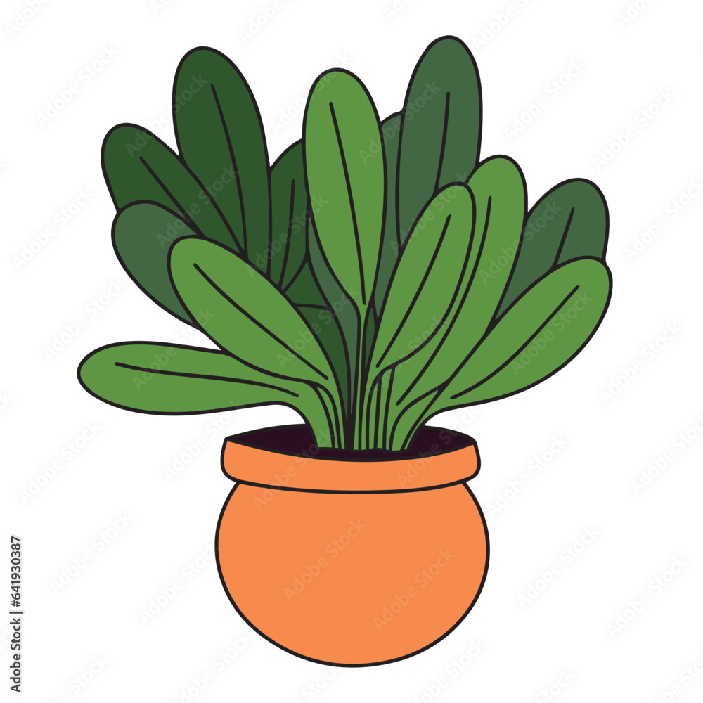 Houseplant colored outline. Hand drawn houseplant in doodle style isolated on white background. Vector illustration. Houseplant colored outline. Hand drawn houseplant in doodle style isolated on white background. Vector illustration.
