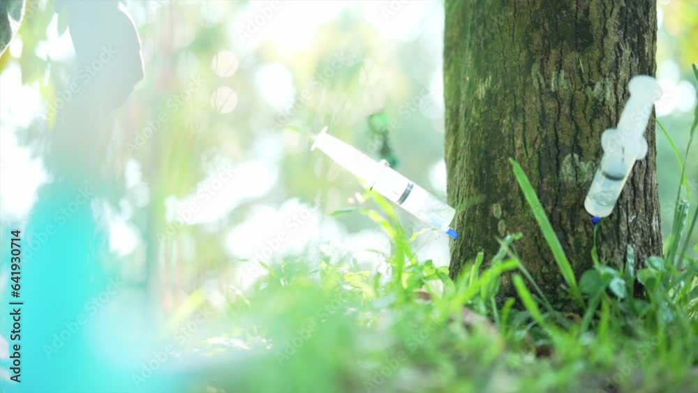 injecting Treatment for Tree to save trees, Save tree Save planet ...