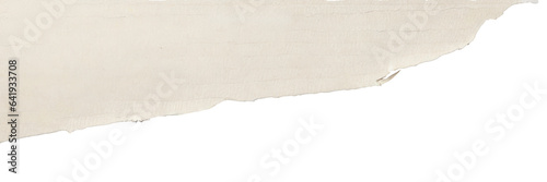 realistic paper texture. banner background