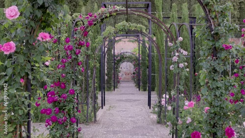 a gimbal steadicam shot of roses growing in the lower garden of the generalife section of the ancient palace-fortress alhambra at grenada, spain