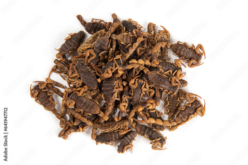 Obraz premium Dried scorpion isolated on White Background