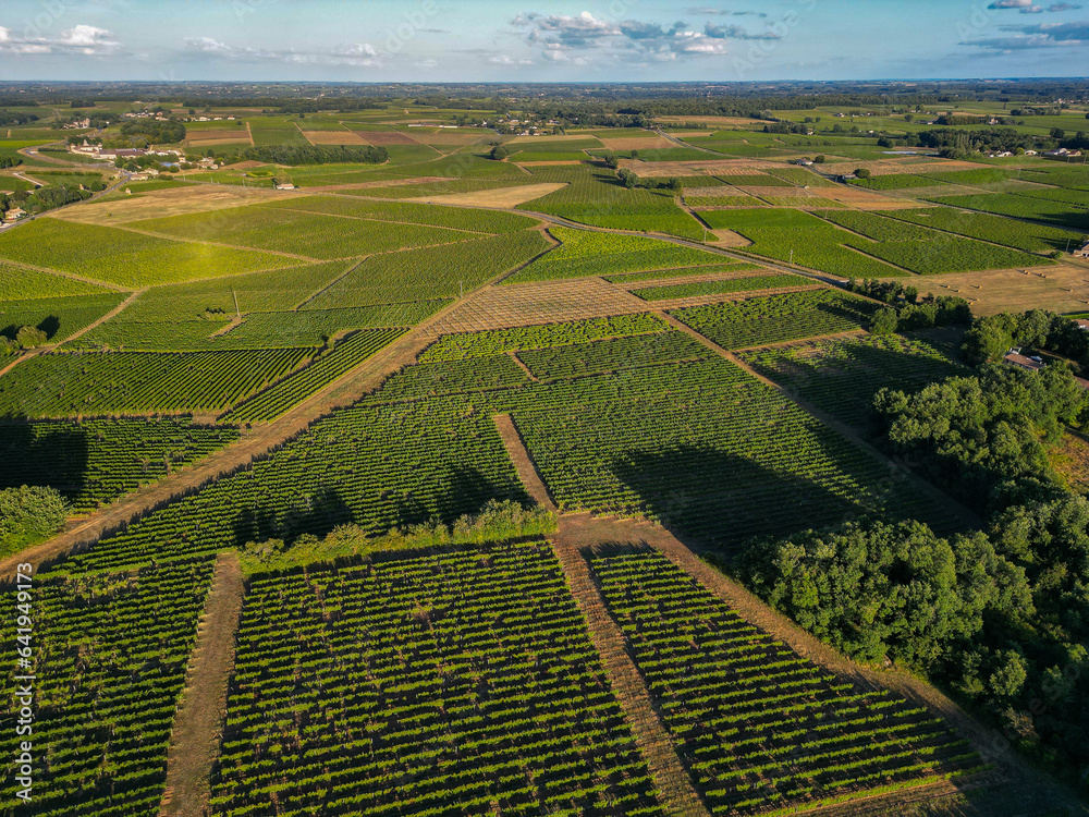 Aerial view Bordeaux Vineyard at sunrise, Entre deux mers, Gironde. High quality photo