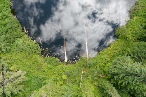 Sky and clouds reflected on the surface water of Fizrenken Lake in Gifford Pinchot National Forest, Washington.