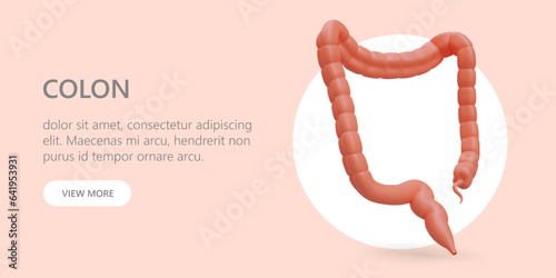 Large intestine, colon with appendix. Colonoscopy, biopsy, treatment. Concept with 3D illustration. Advertising banner for clinic. Endoscopist services. Vector concept in modern style